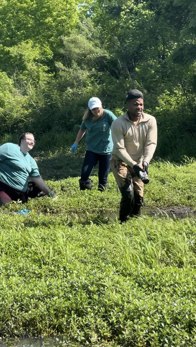 TCU Green Research Group (Chemistry) tweet media