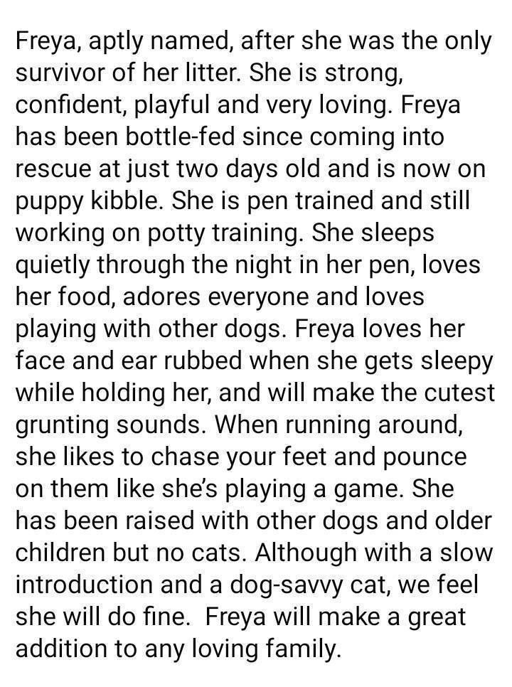 ⭐Available Now!⭐
Name: Freya
Age: 9 weeks Sex: female
Breed: terrier/ shepherd mix
Estimated adult weight: 60-80 lbs
Apply at shelterluv.com/matchme/adopt/…
#adoptdontshop #puppies #sacramentoca #greatersacramento