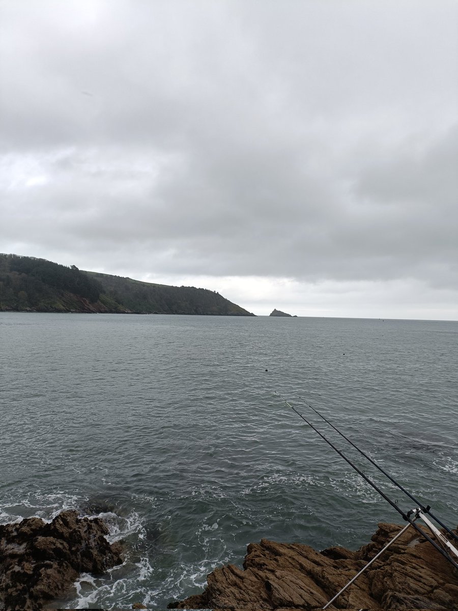 Tom Sheffield tweet media