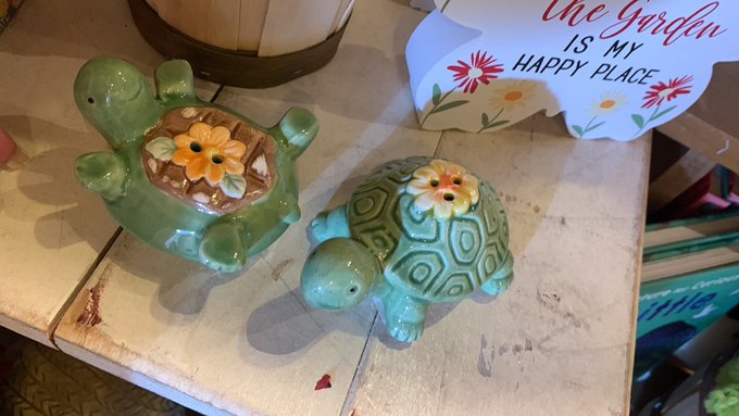 I collect turtle things and also salt n pepper shakers and I am itching for a few new pieces 😭 https://t