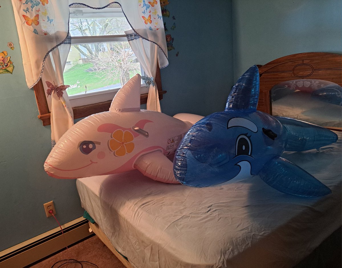 #SqueakySaturday well friends arrived to my room once again. Calidio, Pinky and Blues chilling together. @PhenodToy @phenod #squeaks #inflatable #inflatables #pooltoys