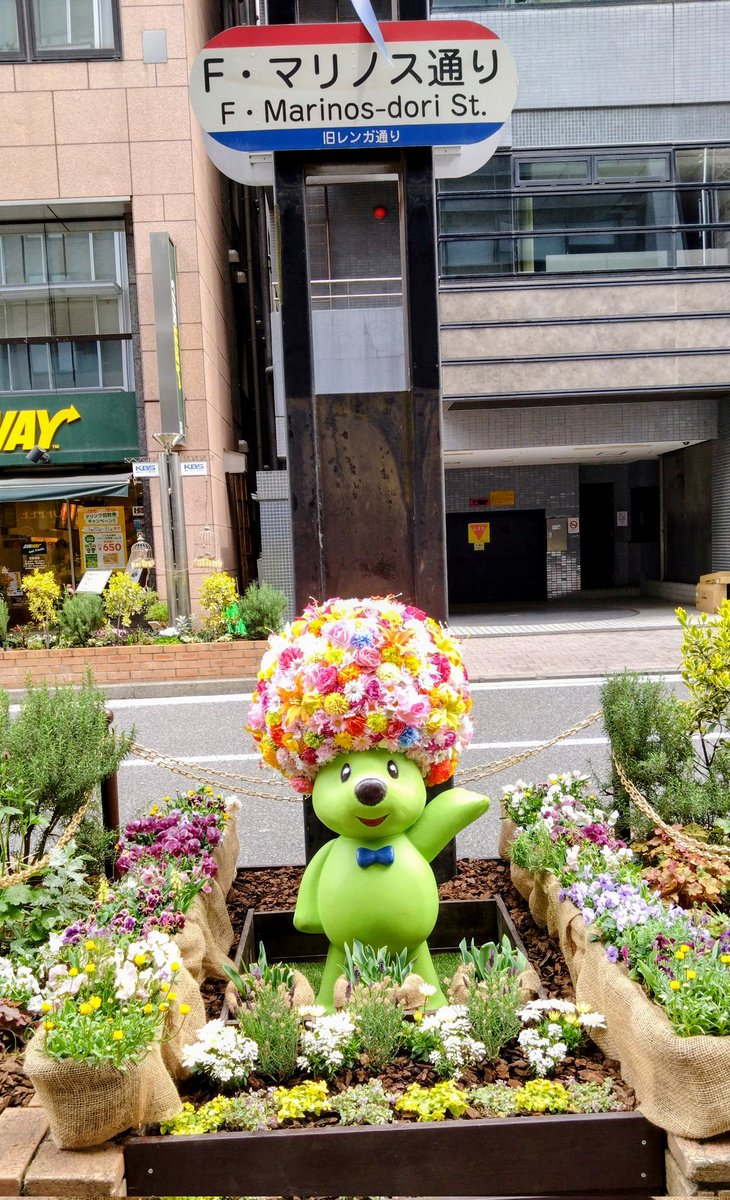 F•マリノス通りにも春が来た🌷 #TLを花でいっぱいにしよう #街角の花 ＃街角の花々 #F・マリノス通り #新横浜