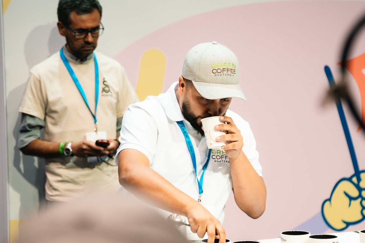 Congratulations, Jonathan! 🇬🇹📷 Guatemala made it to the Quarter Finals at the 2024 World Tasters Cup Championship!   

Follow the competition here: chicago.wcc.coffee/wctc-live-stre…

 #GuatemalanCoffees #GuatsNext #CoffeeExpo