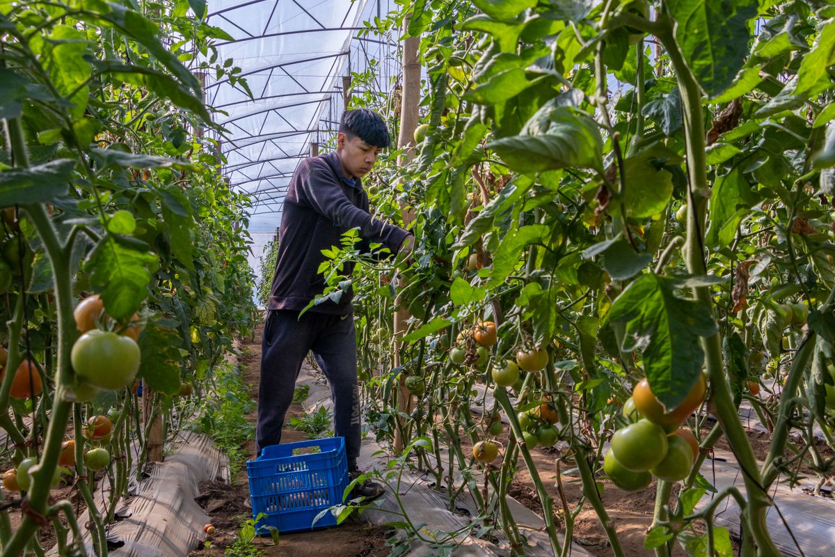 UNDP Planet tweet media