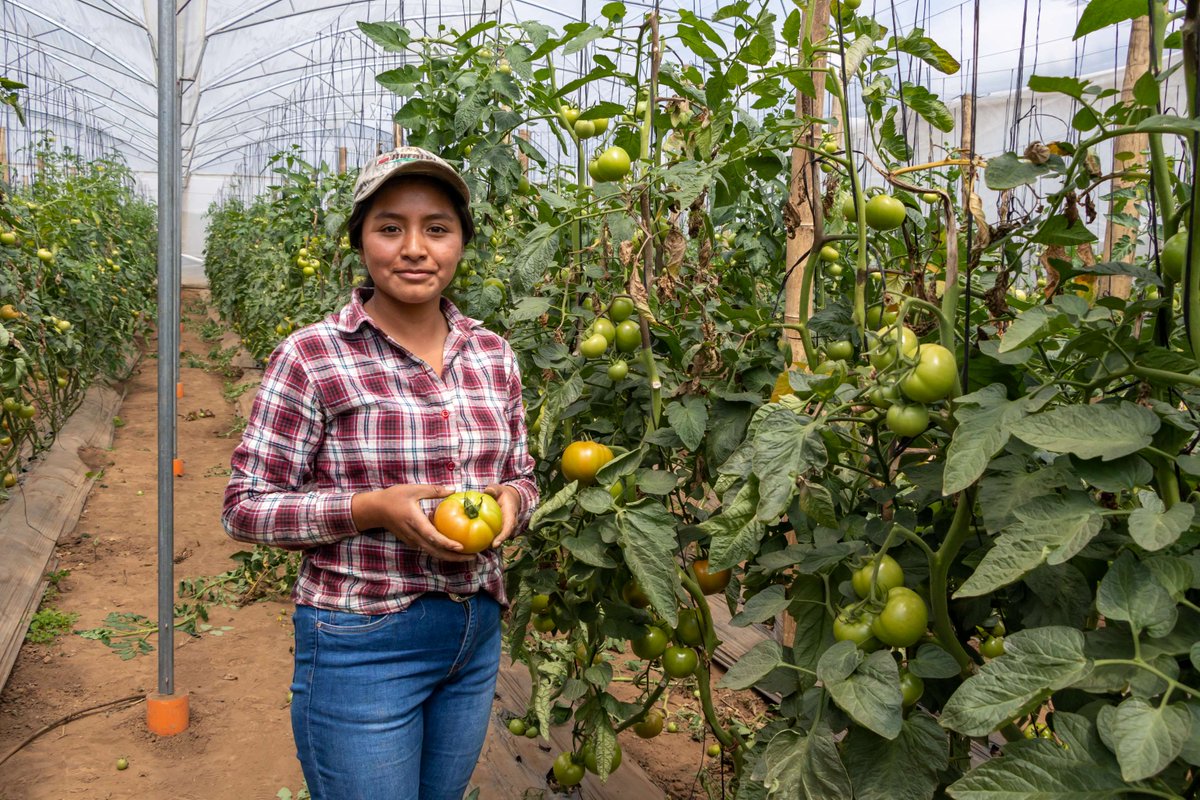 UNDP Planet tweet media