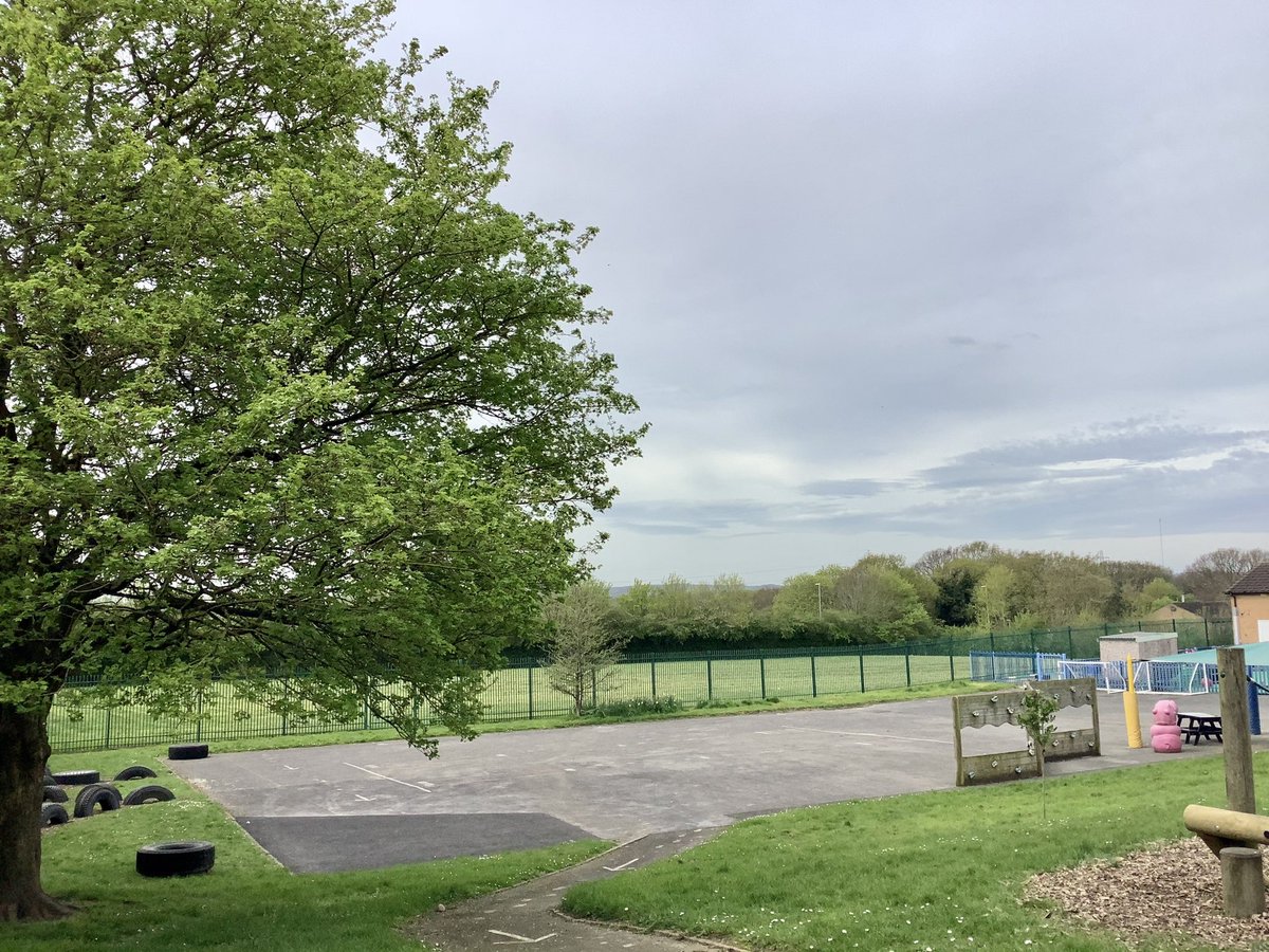 PrimaryOakhill's tweet photo. Spring has sprung this week and our Forest school area is changing daily 🌳🤩 https://t.co/ZN3OhgZS7Q