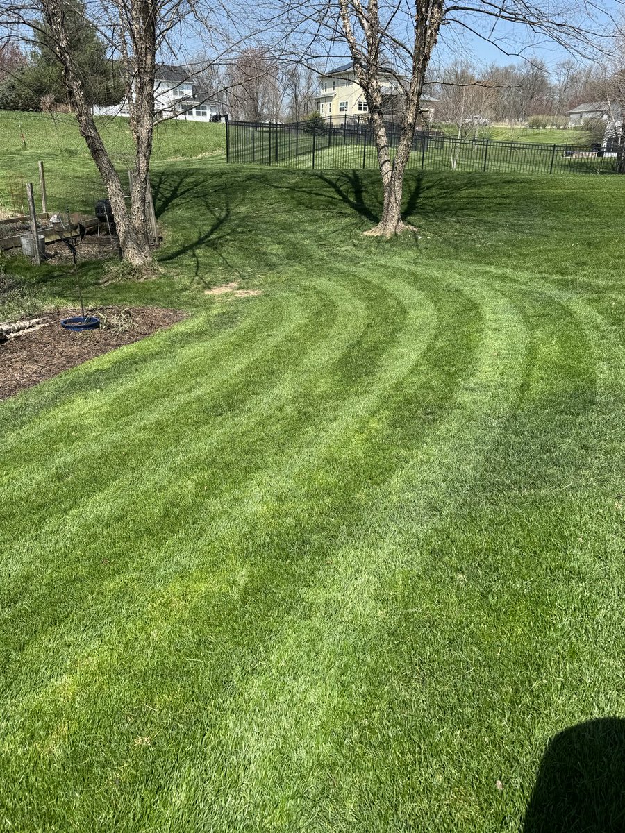 Happy first lawn-mow of the season.