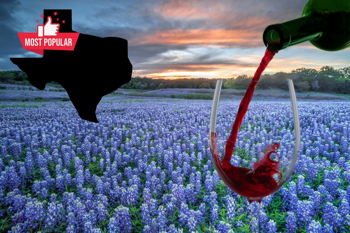 Wine Down At The 15 Best Wineries In Texas #craftbeverage #craftdrink rfr.bz/tl6qukw