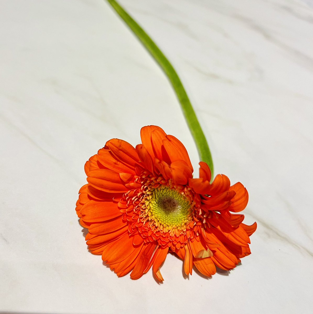 Merci 😘 <a href="/OrangeBFC/">Orange Bourgogne Franche-Comté</a> <a href="/Orange_France/">Orange France</a> <a href="/orange/">Orange</a>