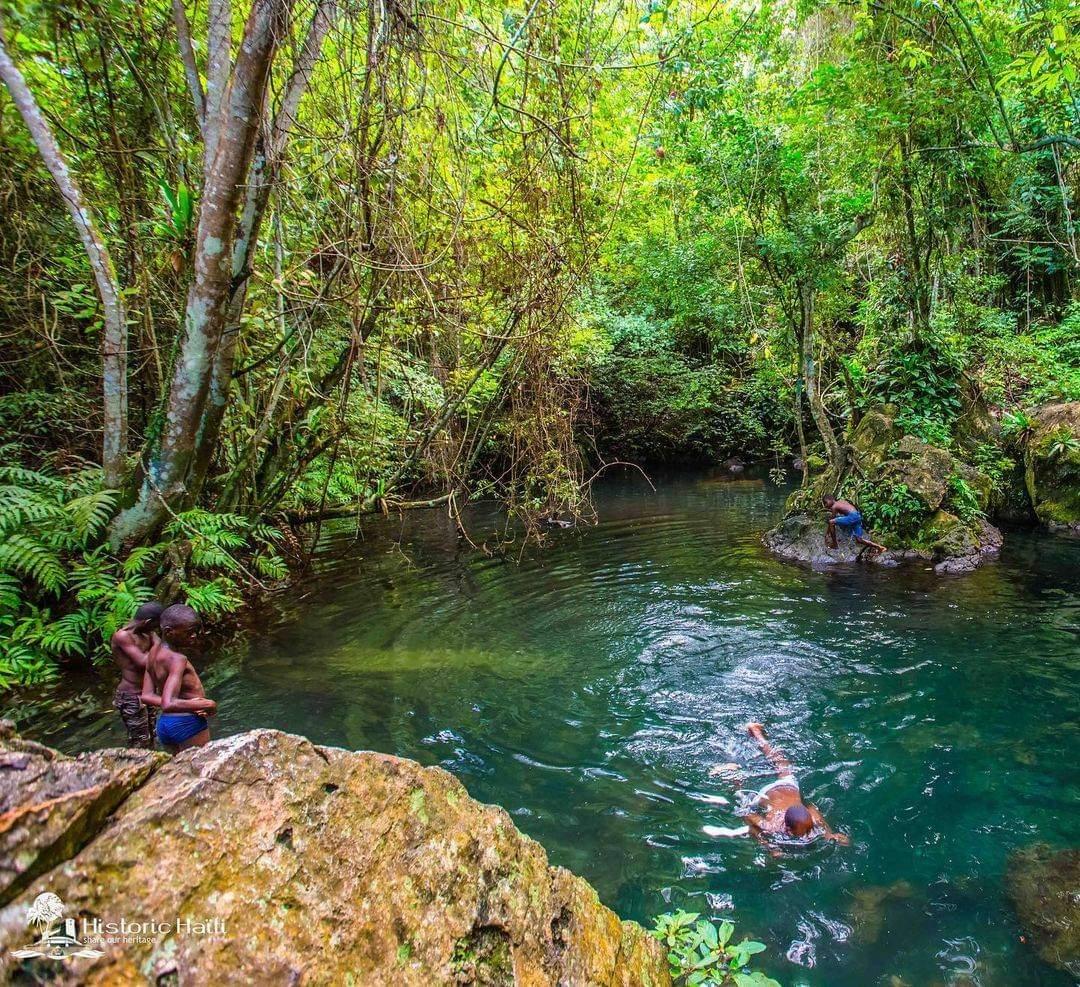 🏞Ayiti 🇭🇹🇭🇹🇭🇹💯💯