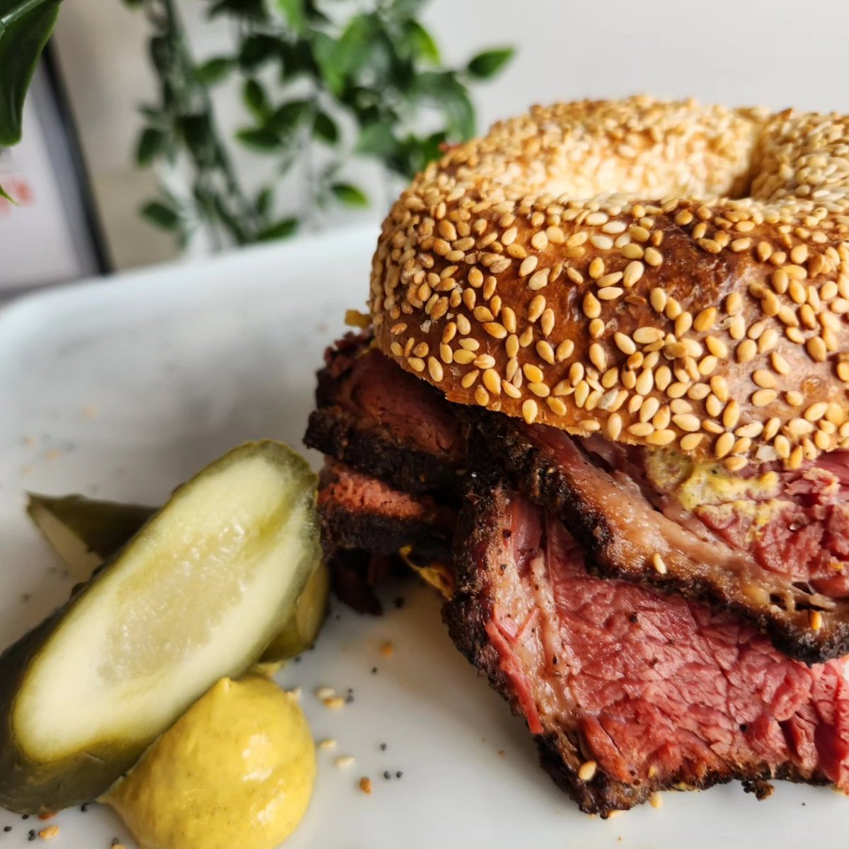 FEATURE BAGEL SANDWICH: Smoked Meat 🥯 Pepper-crusted slow-smoked Alberta beef brisket and hot mustard on your choice of freshly-baked @bebsbagels with a house-made kosher-style pickle on the side 🥒 Today only, until we sell out! #yegfood #yegeats #yeglocal