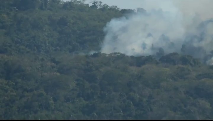 Se han destruido más de 200 hectáreas de plantas algunos cultivos , fauna, de esa región se nutre de agua el Municipio de Maicao