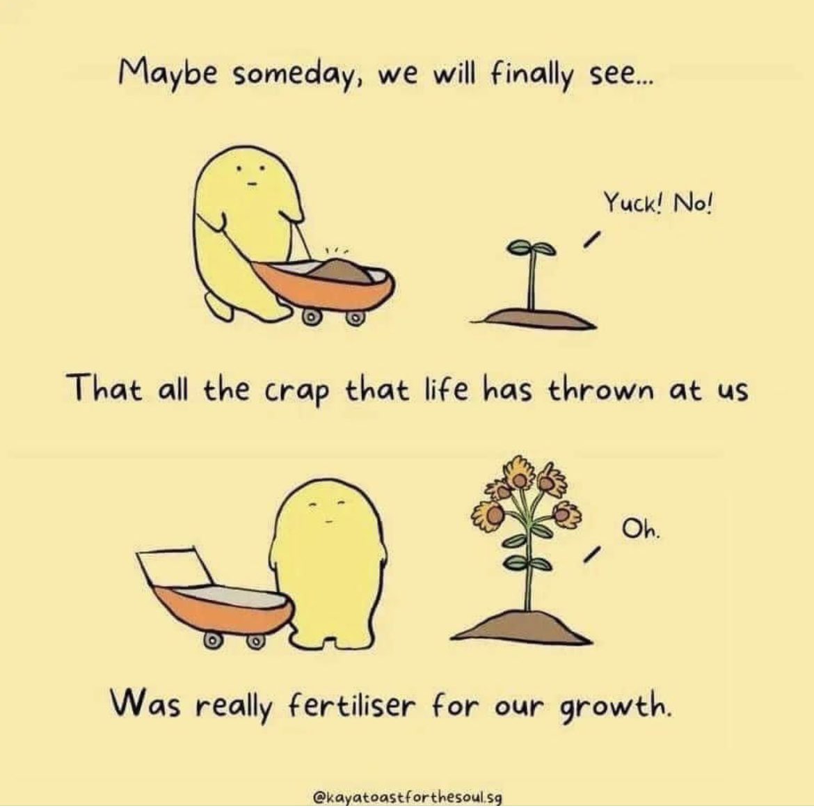 Bloom, despite or in spite of all the challenges! 
#bloom #life #KeepGoing #stroke