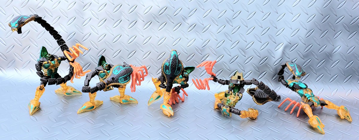 マキシマ tweet media