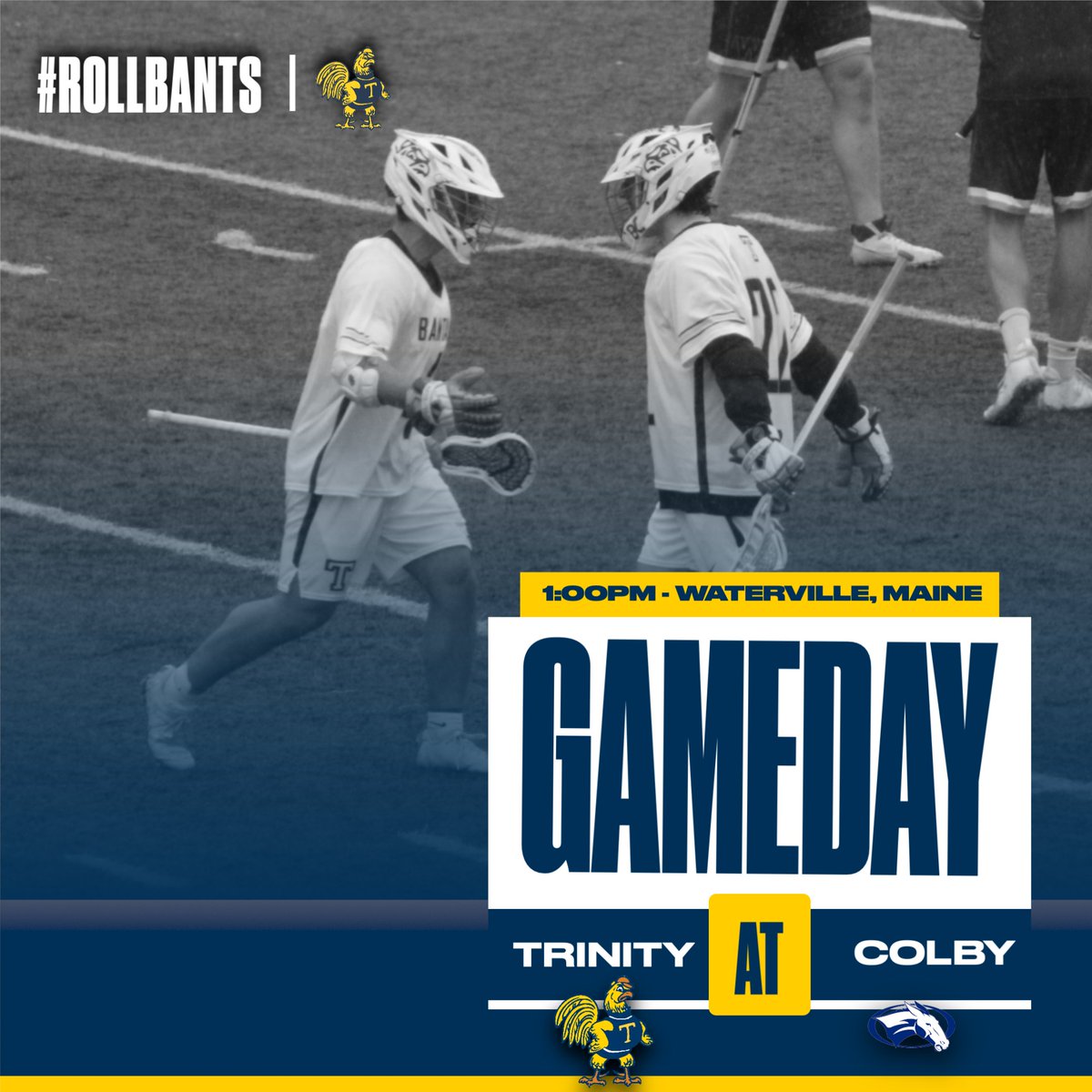 M🥍| Bantams Men's Lacrosse are on the road against the Colby College Mules in NESCAC play at 1PM this afternoon #RollBants🐓 🆚 @themules 📍Waterville, ME ⏰ 1:00PM 📊 colbyathletics.com/sidearmstats/m… 📺 nsnsports.net/colleges/colby