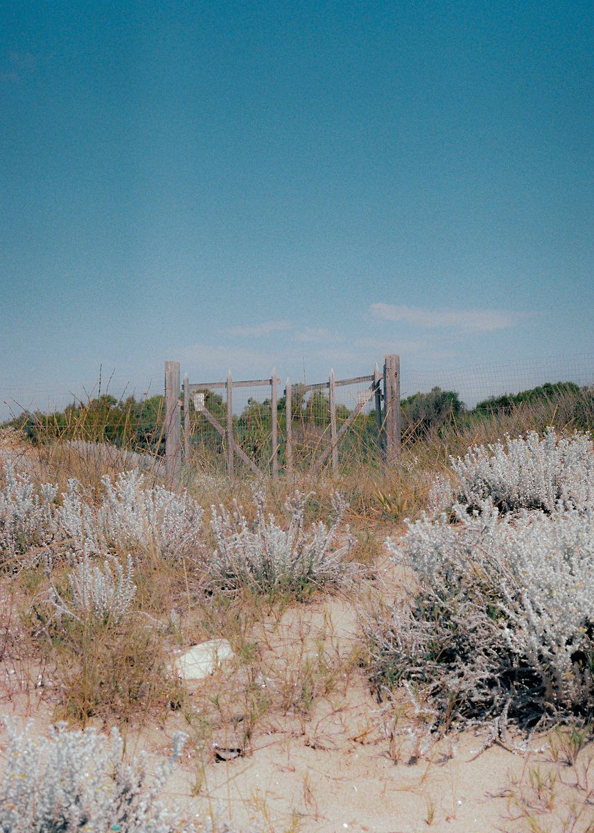 notonlyjack's tweet photo. dreaming on 35mm film https://t.co/9EN89Gahjx