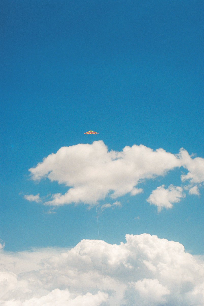 notonlyjack's tweet photo. dreaming on 35mm film https://t.co/9EN89Gahjx