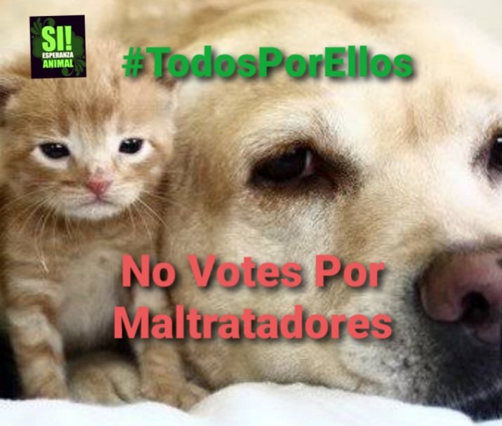 laurahdz28094's tweet photo. @Legismex Esta Medida es un atentado encontra de las #FamiliasMultiespecie 
Esto Amerita una #MagnaManifestacion
#NoAlMaltratoAnimal https://t.co/SirJK0RFEu