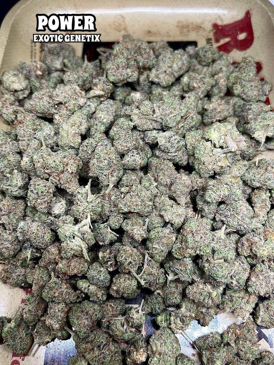buzzthx999's tweet photo. พร้อมส่ง 24 ชม.  🛵🔰🔥
1 G = 8x.- 

📌Contact 
Facebook: GBuzz Grower 
👉 Line https://t.co/bxDDc9lOIj

#กัญชามีนบุรี #กัญชาลาดพร้าว #สงกรานต์2567 #ไกด์เถื่อน #คัลแลน #bangkokweed #thaiweed #กัญชาราคาส่ง #กัญชารัชดา #กัญชาลาดพร้าว #กัญชาไฟฟ้า #พอตกัญชา #กัญชาห้วยขวาง #เชียงใหม่ https://t.co/tB5v587AVn