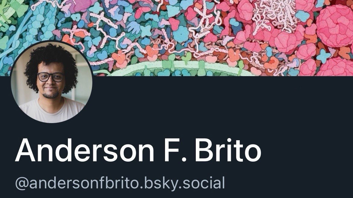 Agora também estou na rede social da borboleta 🦋

Por lá sou “andersonfbrito”. Nas demais redes vocês me encontram como @andersonfbrito_