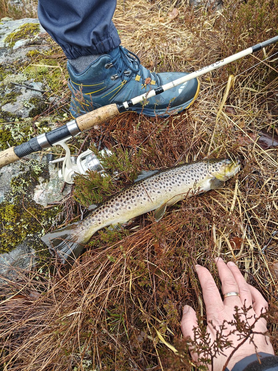 AtleM's tweet image. En rimelig frisk økt ute 🙂