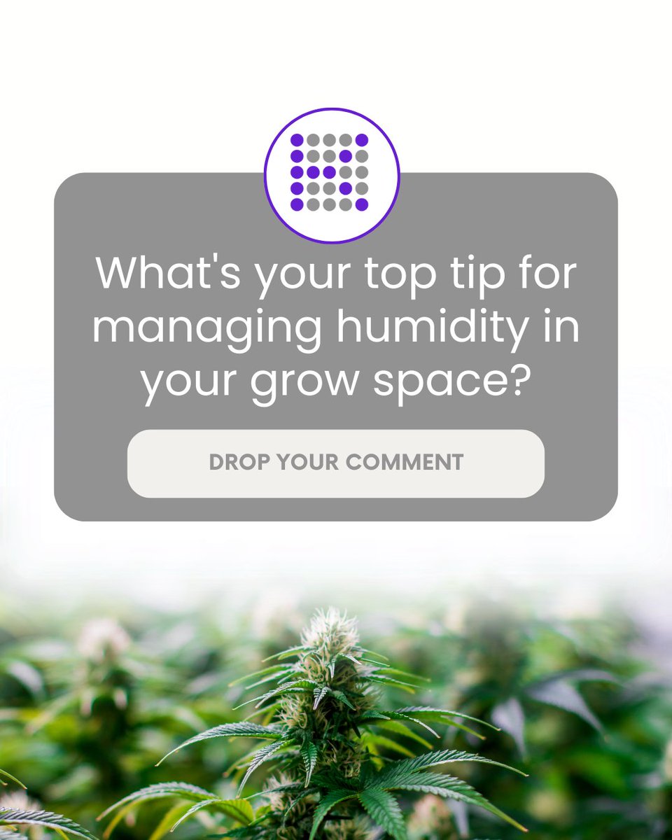 Growers, what's your top tip for managing humidity in your grow space? Drop a comment and share your wisdom with the community! 💧🌱 _____________________⁠ #kindledgrowlights #growstrongindustries #kindled