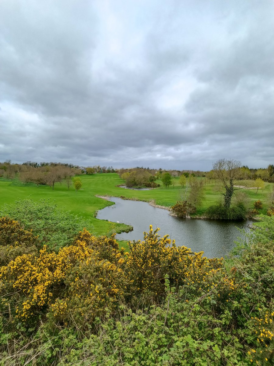⛳Can you guess which hole this view is from?🕳️ @rathcoregolf @golfirelandofficial #golf #golflife #golfswing #golfaddict #greenkeeper #ireland #ladiesgolf #family #competition #scenery #beautifuldestinations #GolfLove #GolfPro #GolfFitness #GolfTravel #GolfTips #GolfWeather