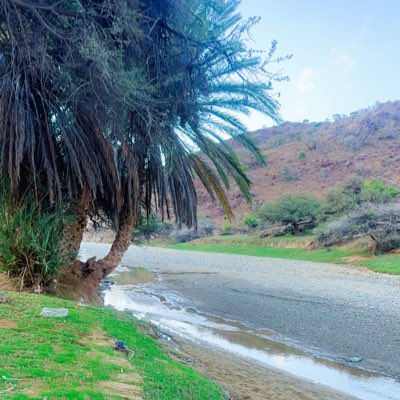 #صورة_جديدة_للملف_الشخصي
