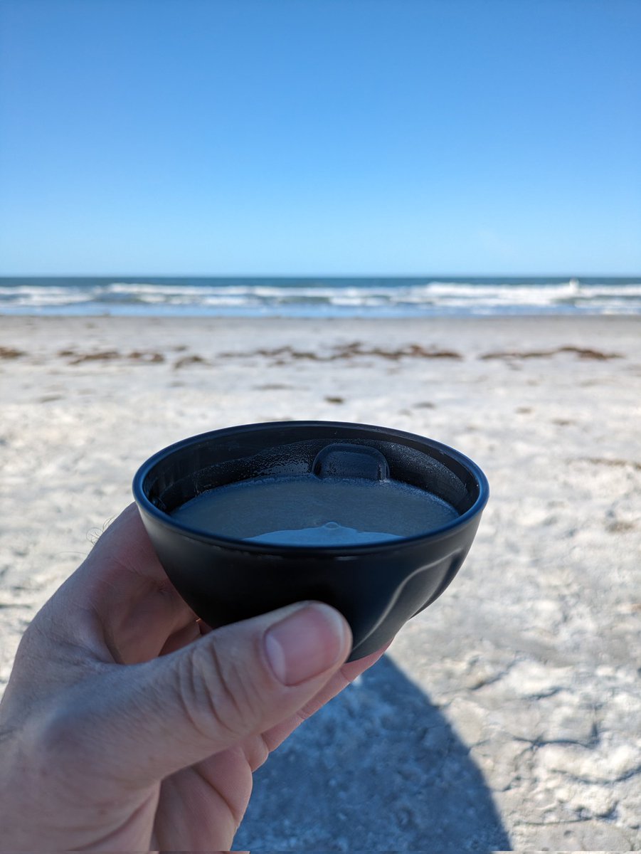 playfullwind's tweet photo. Hanging out at #SandKey this morming. Waves aren't pretty like I had hoped for to body surf this morning. Got lots of good #kava though. Beach and park are awesome as always https://t.co/mI3OIYOmlY