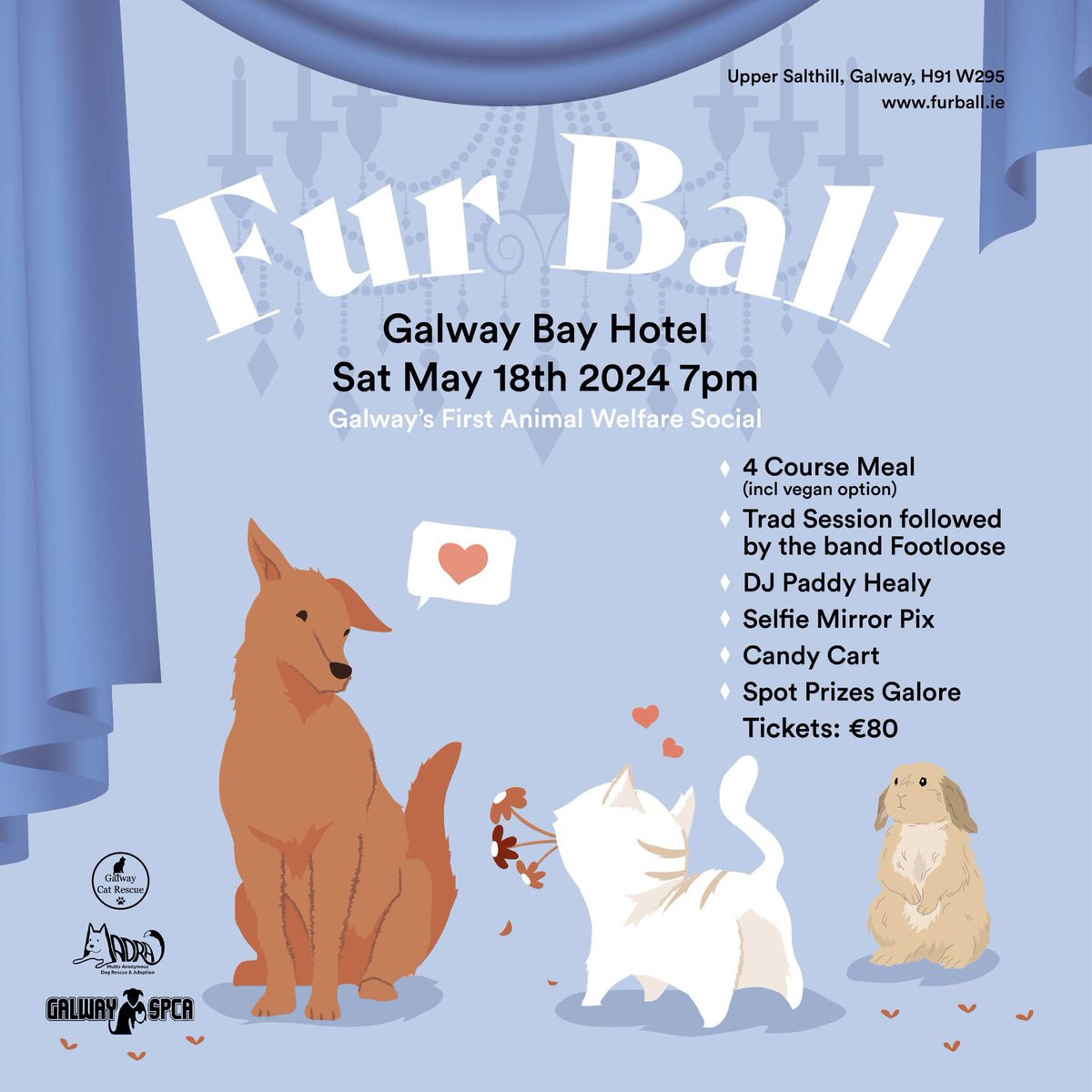 Tickets are now on sale for the very first Fur Ball on Saturday May 18th @GalwayBayHotel 🎉 A fabulous night out to raise funds for us, Galway Cat Rescue (FB) and @GalwaySPCA Online tickets available now👉 :furball.ie 🐕🥂🐈 #AnimalRescue #Galway #Fundraiser