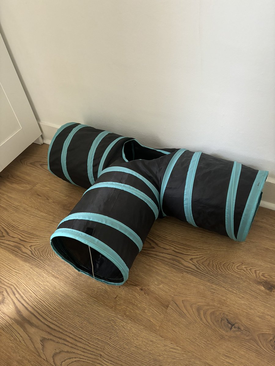 hazzo86's tweet photo. CHECK OUT ITEMS I AM
SELLING ON VINTED

Clothes, Yoga Mat, Cat Bed and Tunnel

https://t.co/v54jNo7nmK https://t.co/jyZtjCK7gp