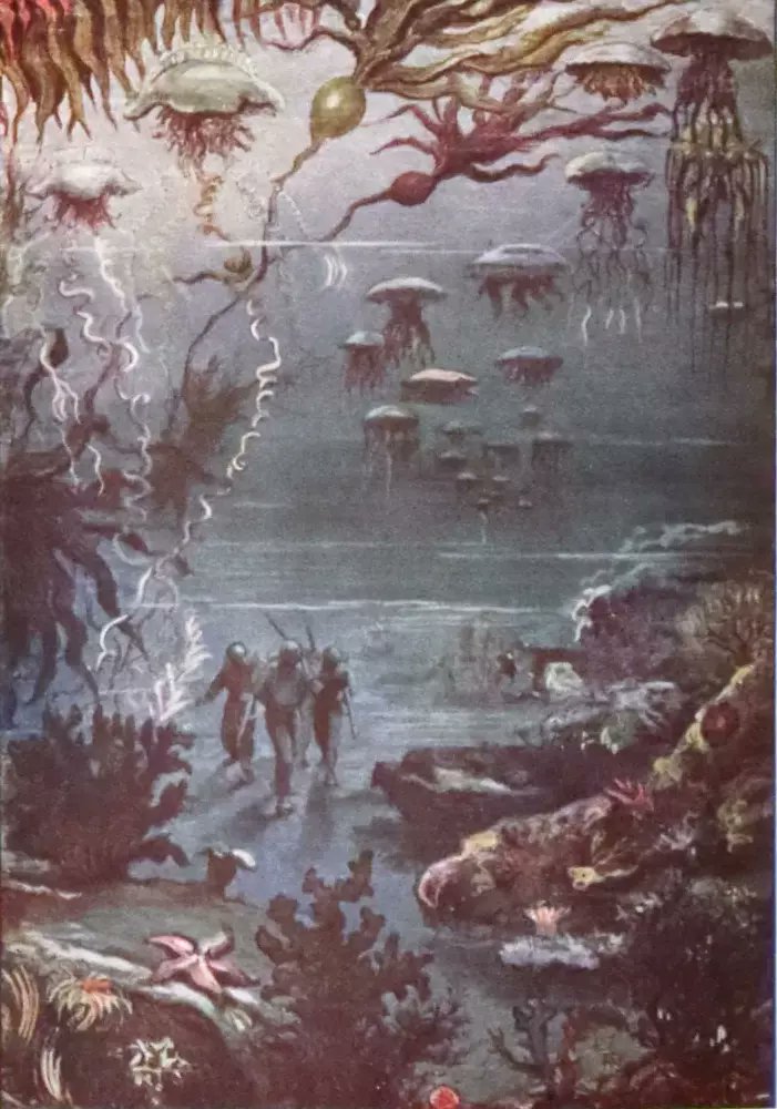 Submerge into the captivating depths of Jules Verne's 'Twenty Thousand Leagues Under the Sea' mflibra.com/products/1900-…
A splendid voyage below the waves awaits in this rare collectible edition! 🚢💫
#BookWithASoul #MFLIBRA #OwnAPieceOfHistory #JulesVerne #ClassicLiterature…