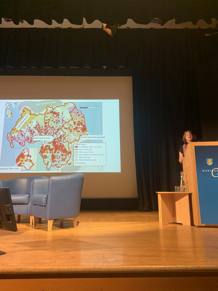 Kay Haw from @SquirrelAccord talks to us about the Red Squirrel Recovery Network, which aims to make red squirrel populations more resilient and volunteer groups more sustainable! #redsquirrels #mammals #conference