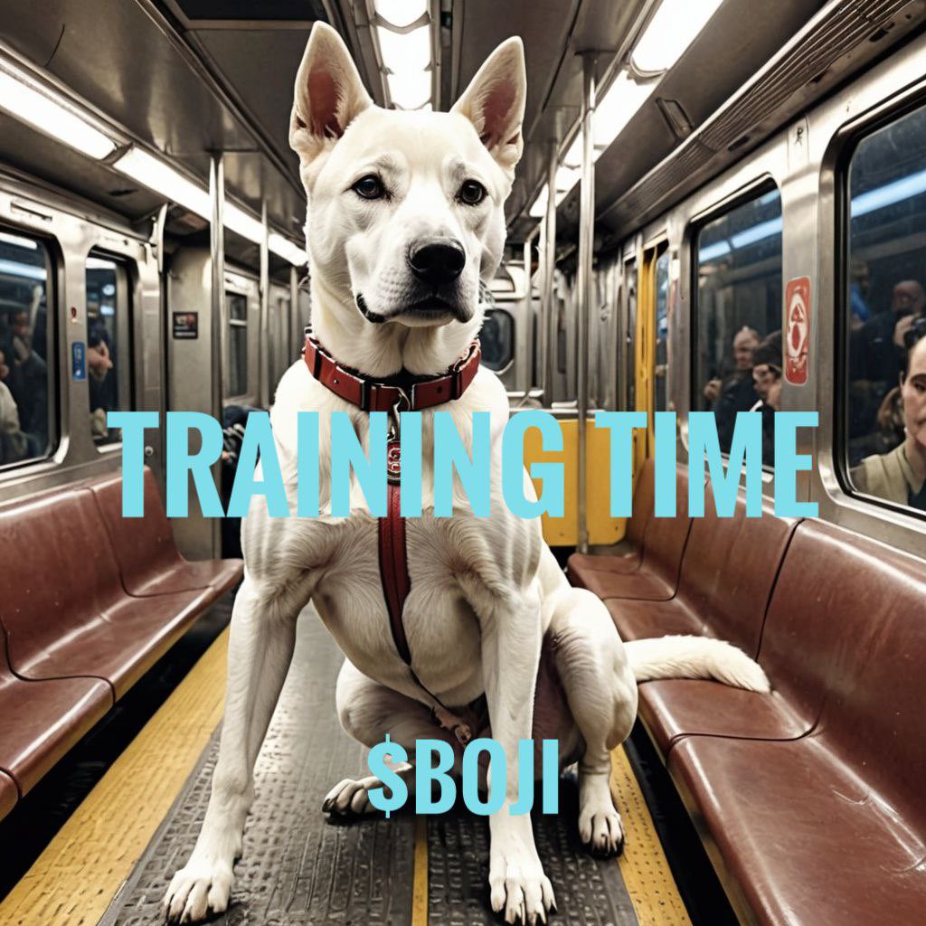 $Boji on Solana tweet media