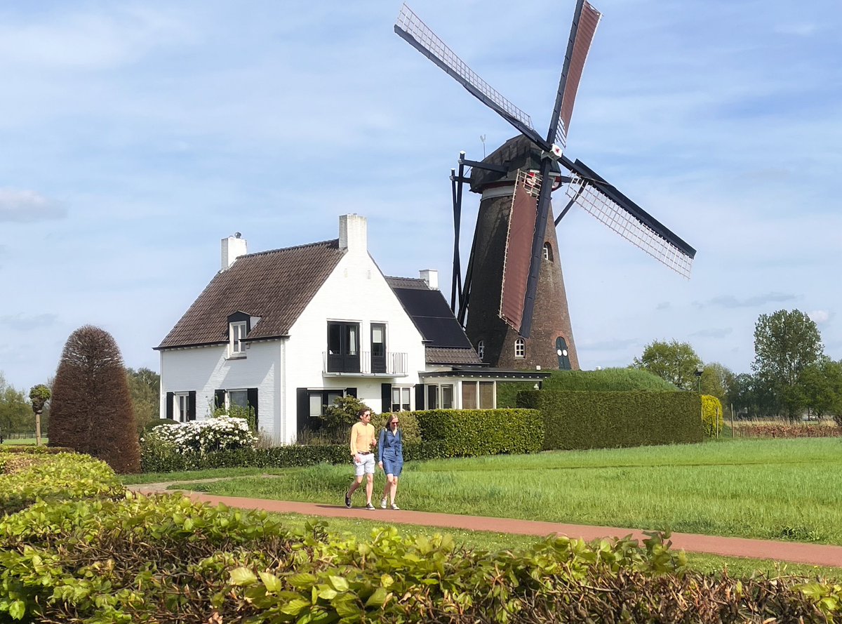 Molen Roosdonck in Nuenen. Is vandaag geopend. De wieken draaiden. #Nuenen #Roosdonck