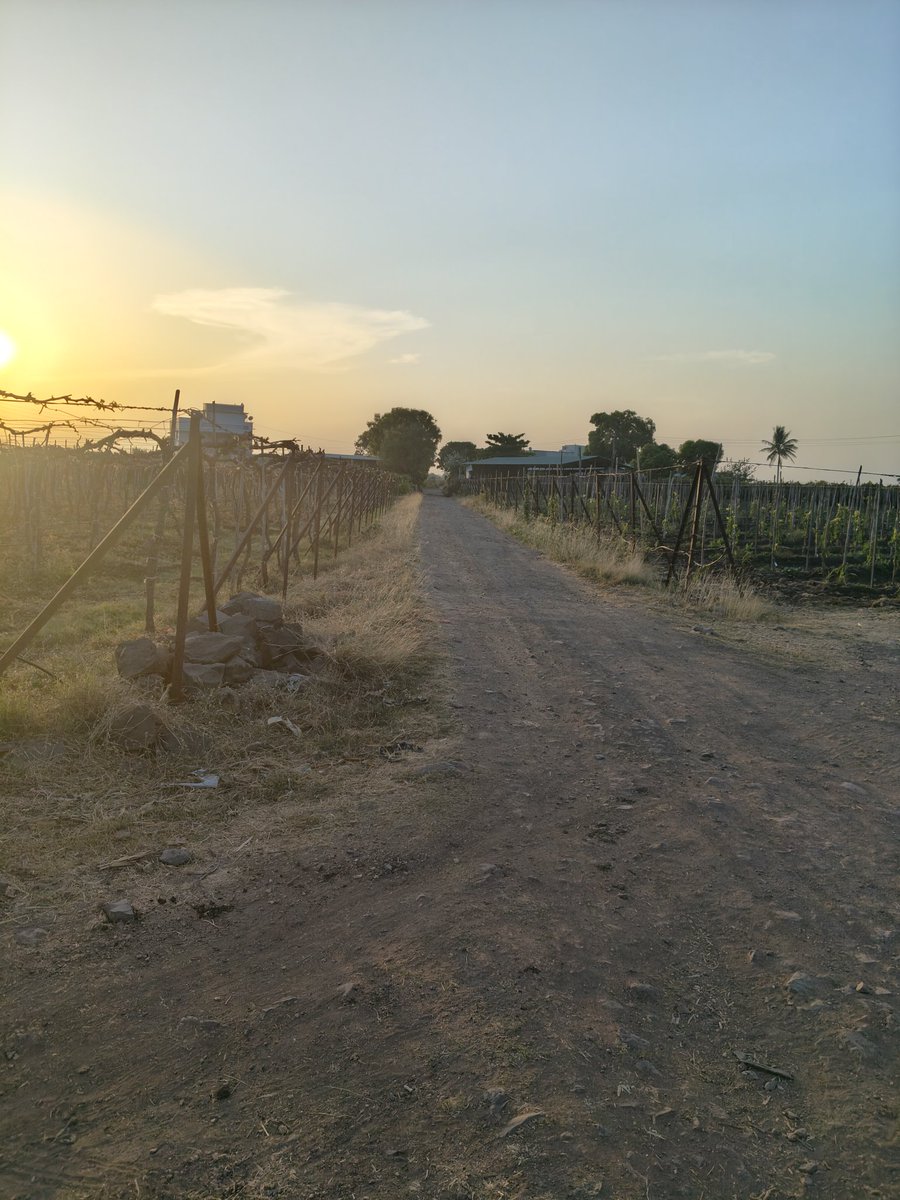 Chhawa's tweet photo. कातरवेळ #सायंकाळ https://t.co/QFWnY0x4w0
