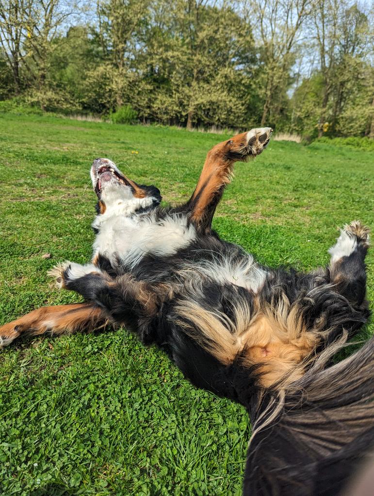 Louise 🐶 tweet media