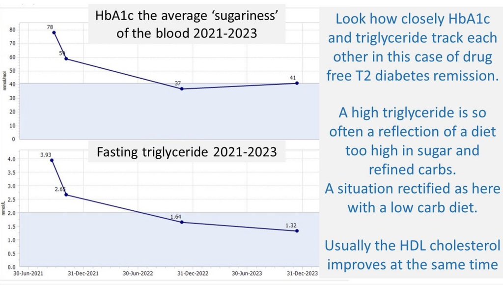 TRIGLYCERIDE MATTERS: A high fasting triglyceride level is so often a reflection of a high carb diet So cutting sugar and starchy carbs helps We found on average the triglyceride level dropped by a third in those who went low carb Published here nutrition.bmj.com/content/6/1/46