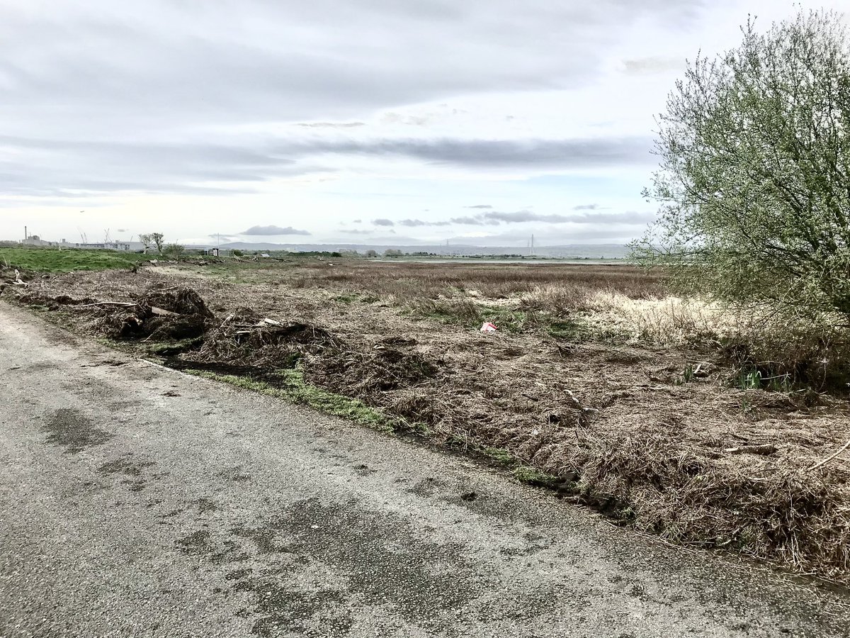 @lurkinhead Did the Cheshire Greenway yesterday in a howling gale, much debris on the bike path that took a digger to remove.