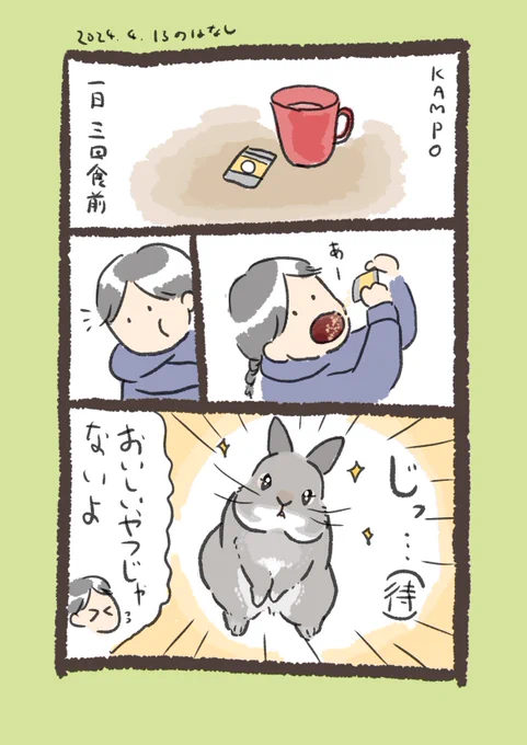 humanがなんか食べてると期待の眼差し🥹

#うさぎのいる生活 