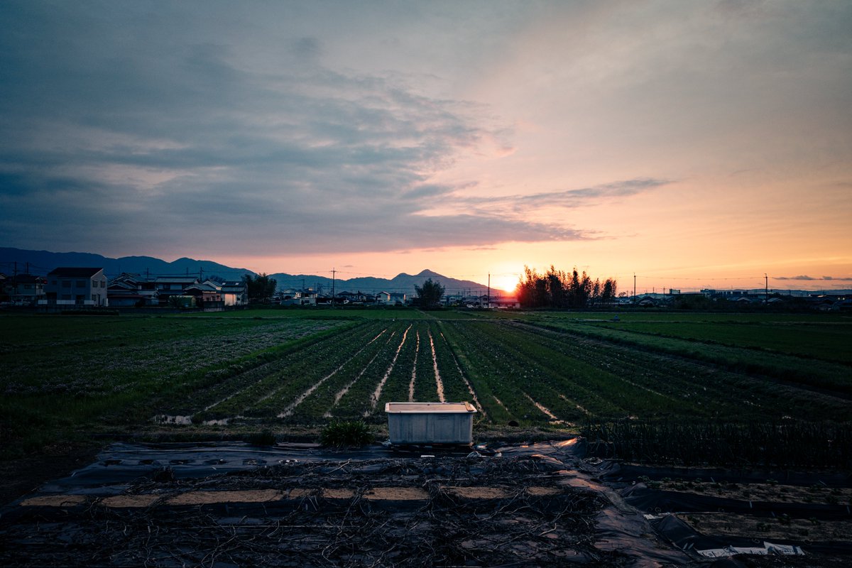 shushus24's tweet photo. Sunset

#写真好きな人と繋がりたい #写真撮ってる人と繋がりたい #カメラ好きな人と繋がりたい #キリトリセカイ #ファインダー越しの私の世界 #RICOH #GR #RICOHGR https://t.co/n1zeff1W5M