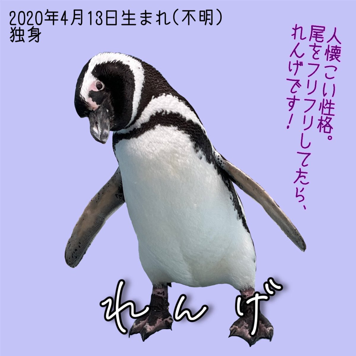 utsunomiya_zoo tweet picture