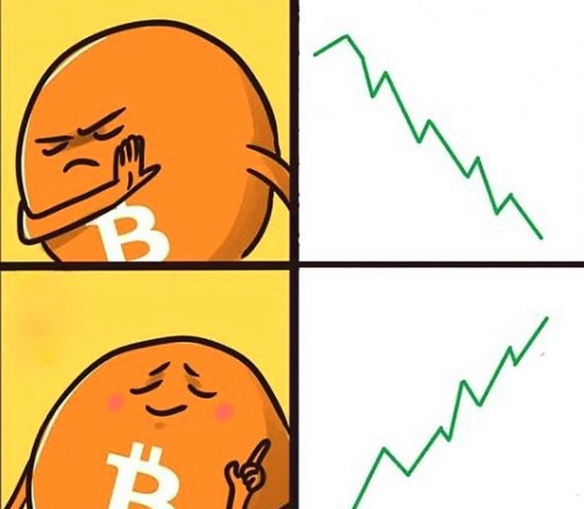 CoinMarketCap's tweet photo. #ThemCryptoFeels https://t.co/QftA3Kax5w