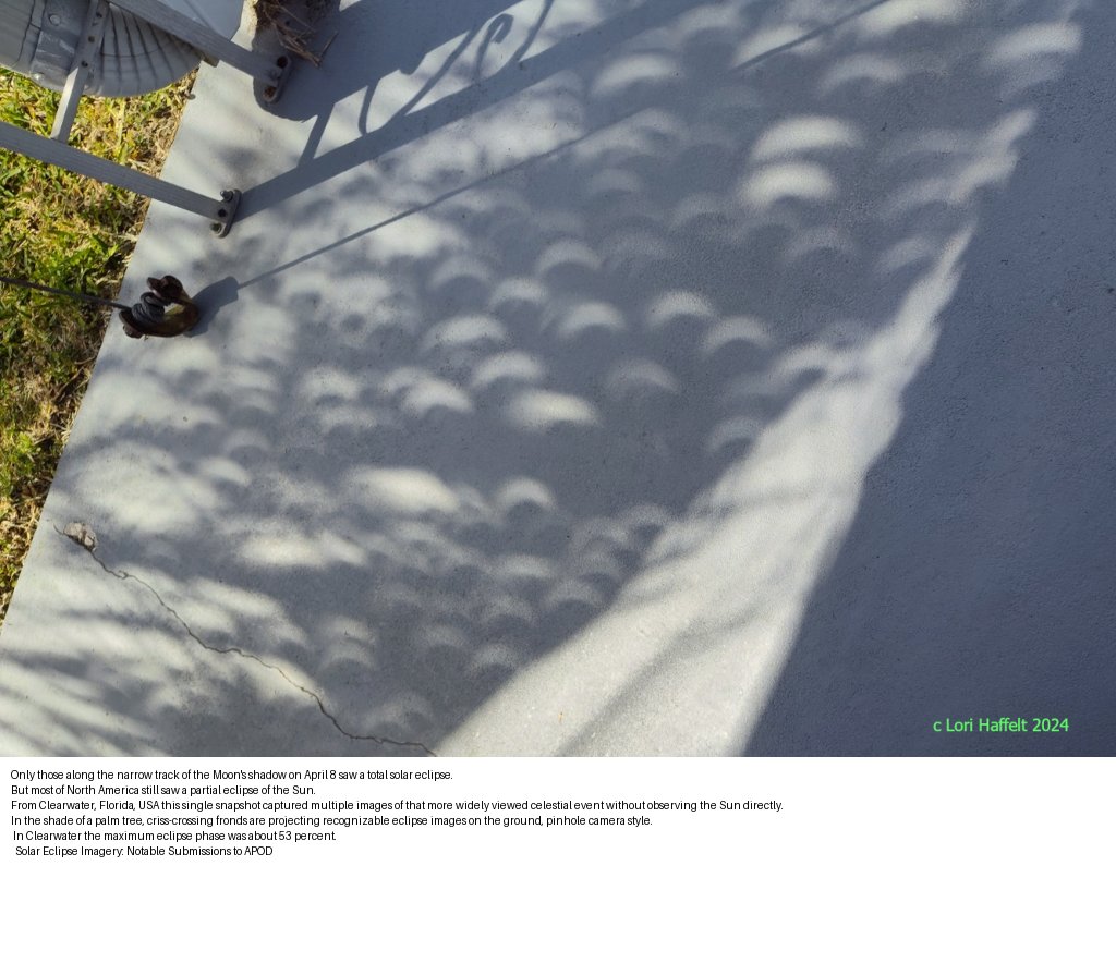 Check out today's Astronomy Picture of the Day:

Palm Tree Partial Eclipse 
Image from @Aus10va's Nasa APOD web app & NASA API(aus10-io-nasaapod.streamlit.app) #recycleright #zerowaste #SustainabilityinAction