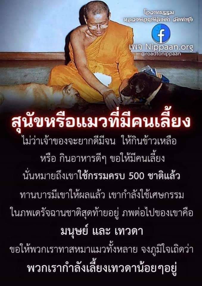 wi_faeng's tweet photo. @TarotYouuuu https://t.co/OxYpRBRaz9