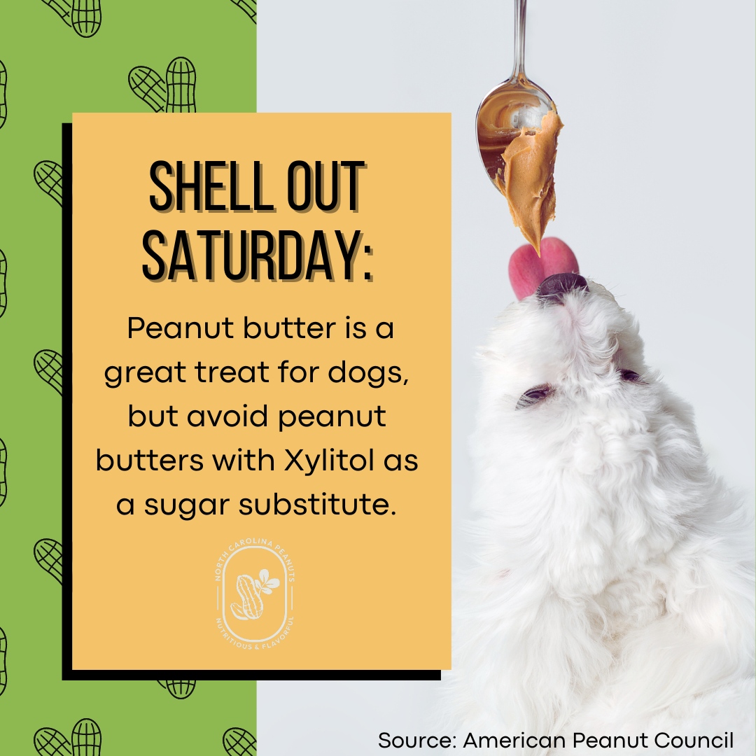 🐾 🥜 Woof Woof... It's #ShellOutSaturday! 🥜 🐾 

April is National Dog Appreciation Month, so spoil your beloved companion with their favorite treat: peanut butter! But remember, not all peanut butter is safe for dogs. Avoid any with the ingredient Xylitol.

#NCPeanuts