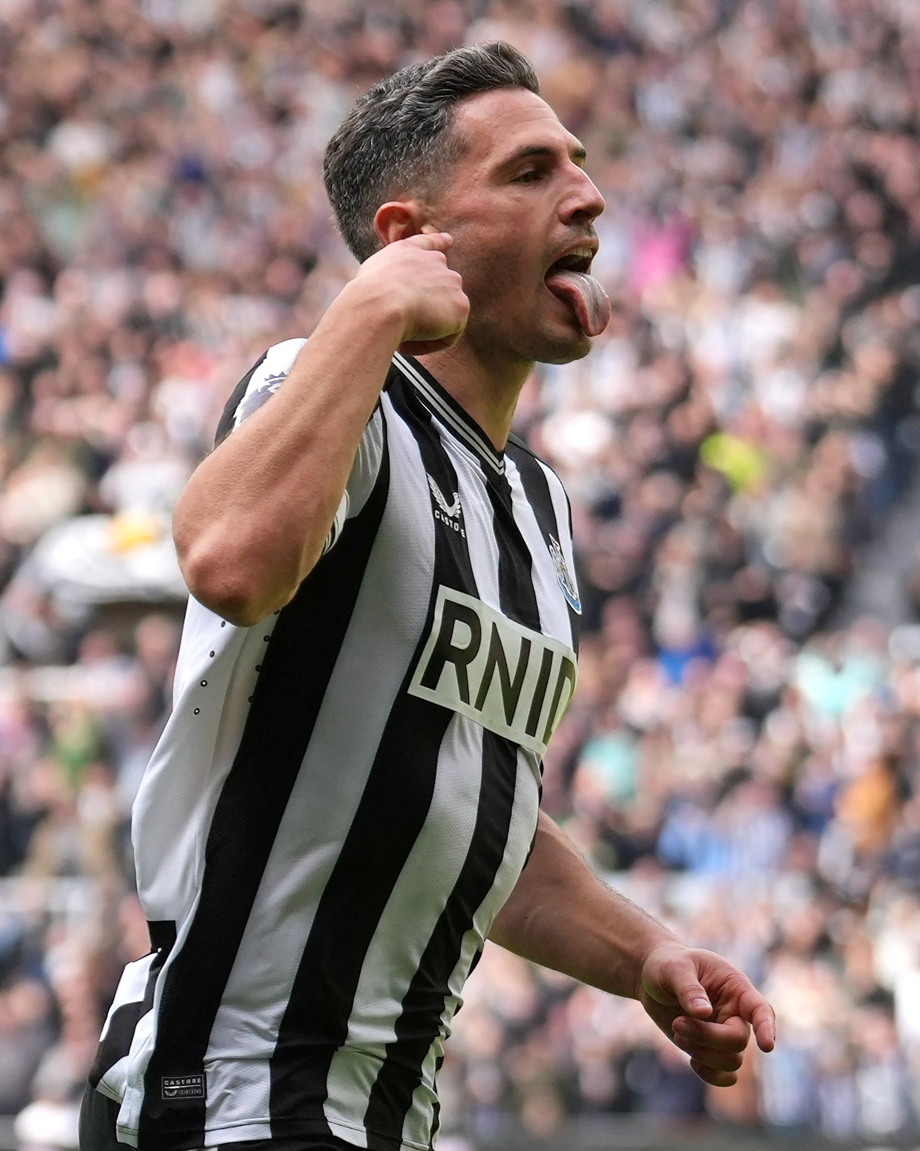 Fabian Schär celebrates his goal against Spurs