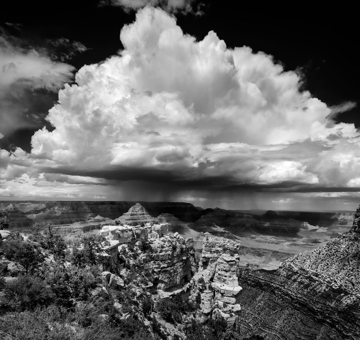 'Grand Canyon from Moran Point.' 🙏🏼🌎🕊️ 📷 Photo by Max Robinson©️