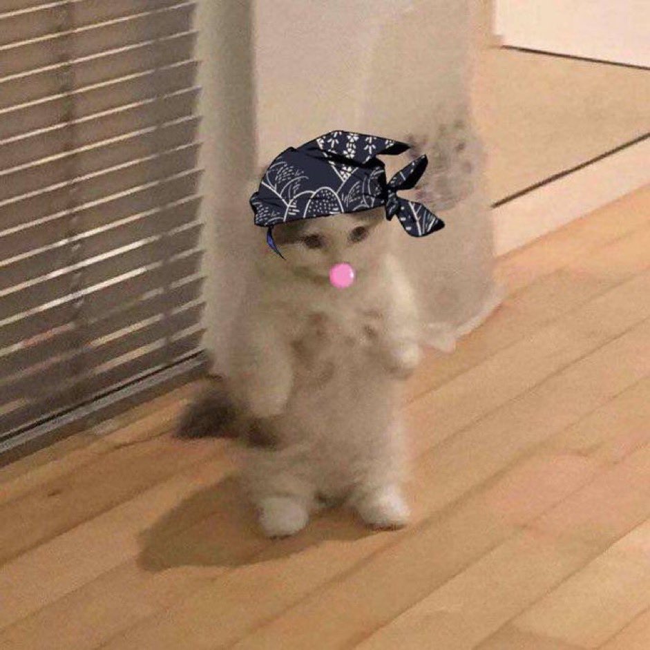 LaloYSH's tweet photo. @metaversejoji $MICHI it’s already written https://t.co/Yd0QIAb8Qt