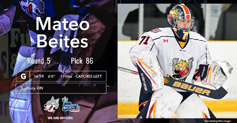 Sudbury_Wolves's tweet photo. The Sudbury Wolves are proud to select Sudbury native Mateo Beites from the Barrie Colts U16 AAA with the 86th overall pick in the 2024 #OHLDraft   
Welcome to Wolves Nation, Mateo!  
#WeAreWolves | #HowlYeah